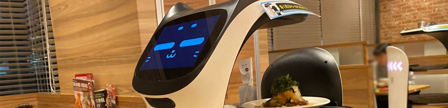 yߕzlR^{bgA\ē{ƊႢʔwwwwwwwAjQ[