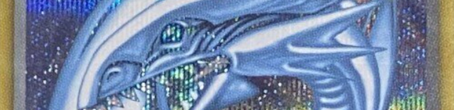 �y�V�Y���z�v���C���[�h�ƃR���N�^�[�h�����ˁE�E�E�������̌����Ή��͗L�肩���������I�^�N.com